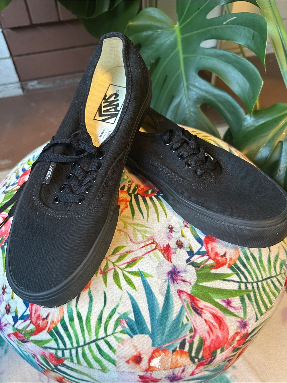 Vans Black Classic Canvas Low-Top Sneakers